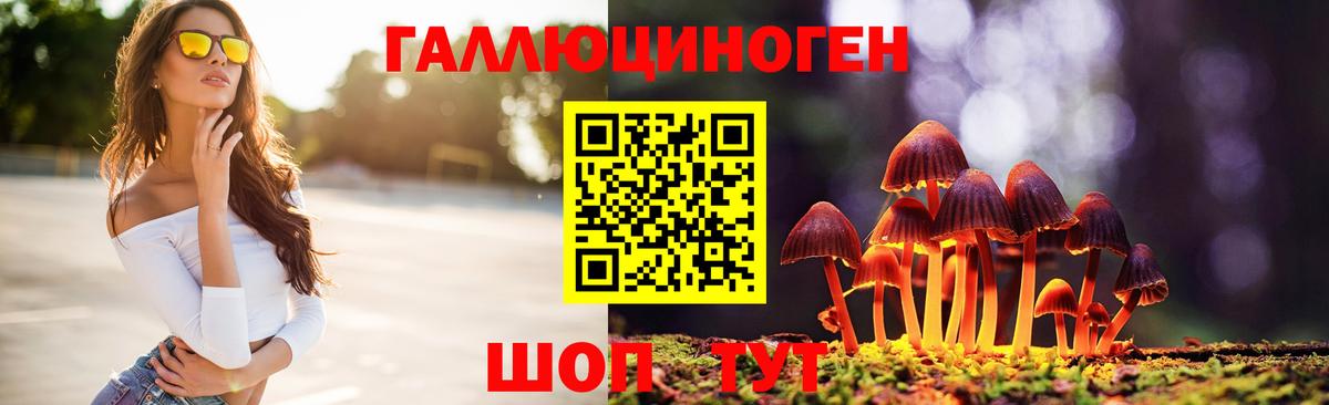 Галлюциногенные грибы Magic Shrooms  Вход с VPN  Шали  Галлюциногенные грибы мухоморы 
